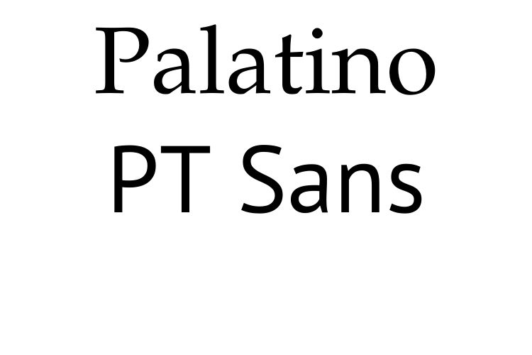 Image of text saying Palatino and PT Sans showing the different fonts used by the University brand