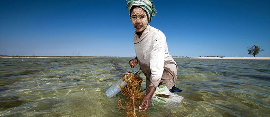 St Andrews Prize for the Environment