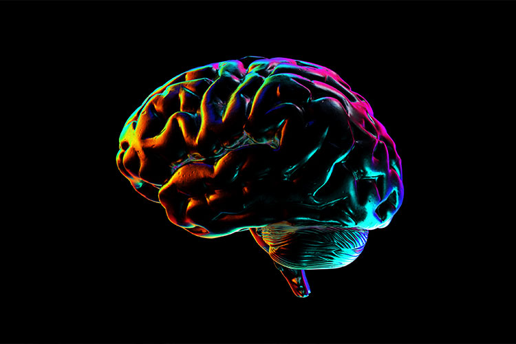Our MSc in Digital Health – run by the Graduate School for Interdisciplinary Studies - teaches the theoretical  underpinnings of digital health, and examines how digital data is integrated in clinical decision making.
