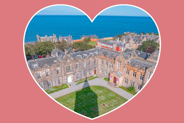 quad in heart