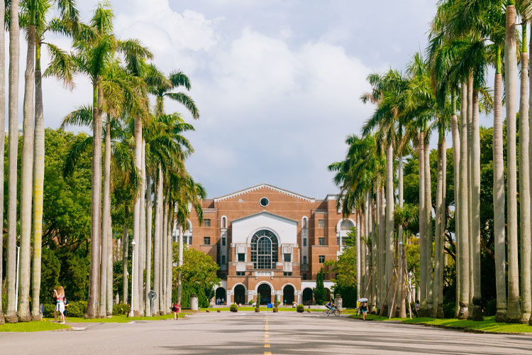 University building surrounded by trees