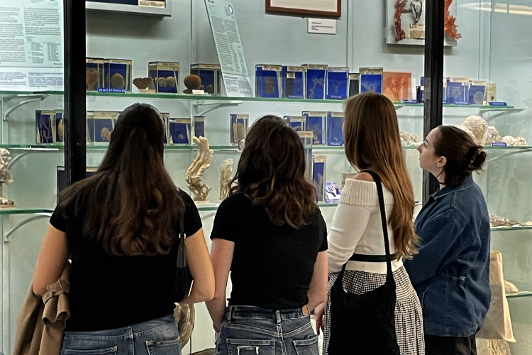 Four people looking at a case with specimens in the Bell Pettigrew Museum