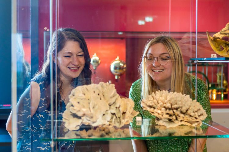 People looking at displays in the museum