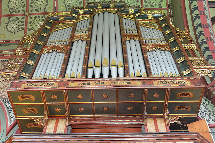Dundee Salvador organ