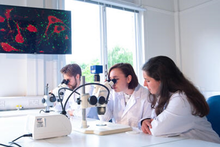 3 students in a lab looking through microscope