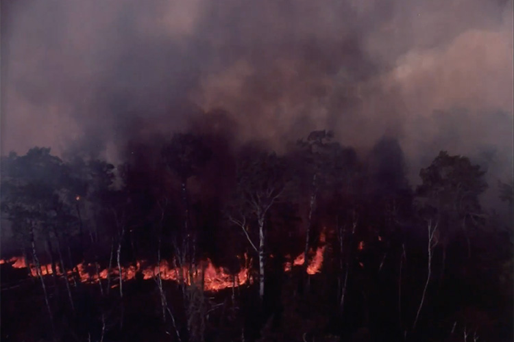 Catastrophe Aesthetics: Immersive Screen Media, Environmental Crisis, and Aesthetic Experience