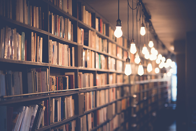 A row of bookshelves