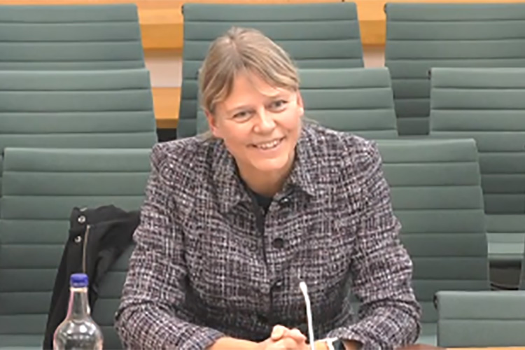 Mette High speaks in Westminster on research in Scotland