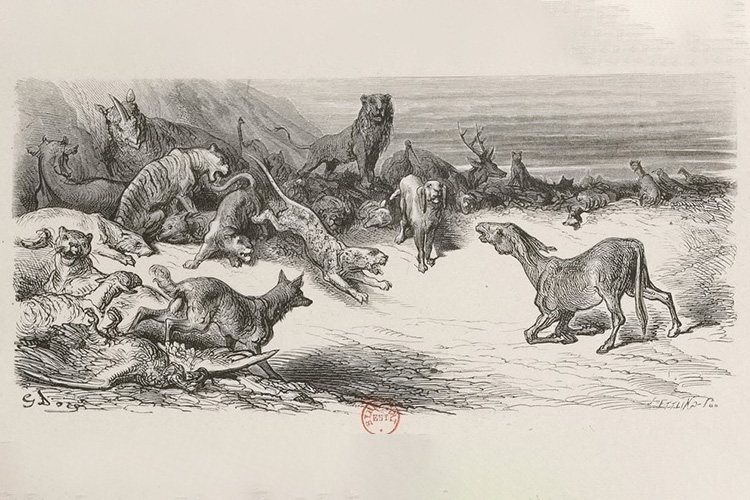 Call for Papers: Panzootics, Beyond Pandemics and Zoonoses, EASA2024