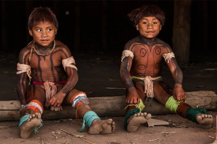 Urgent appeal: COVID-19 in the Xingu, Brazil