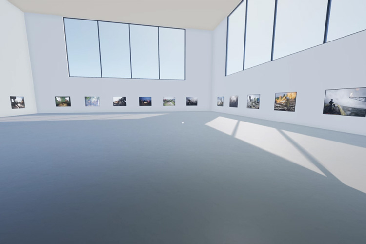 Pictures on the walls of a virtual art gallery
