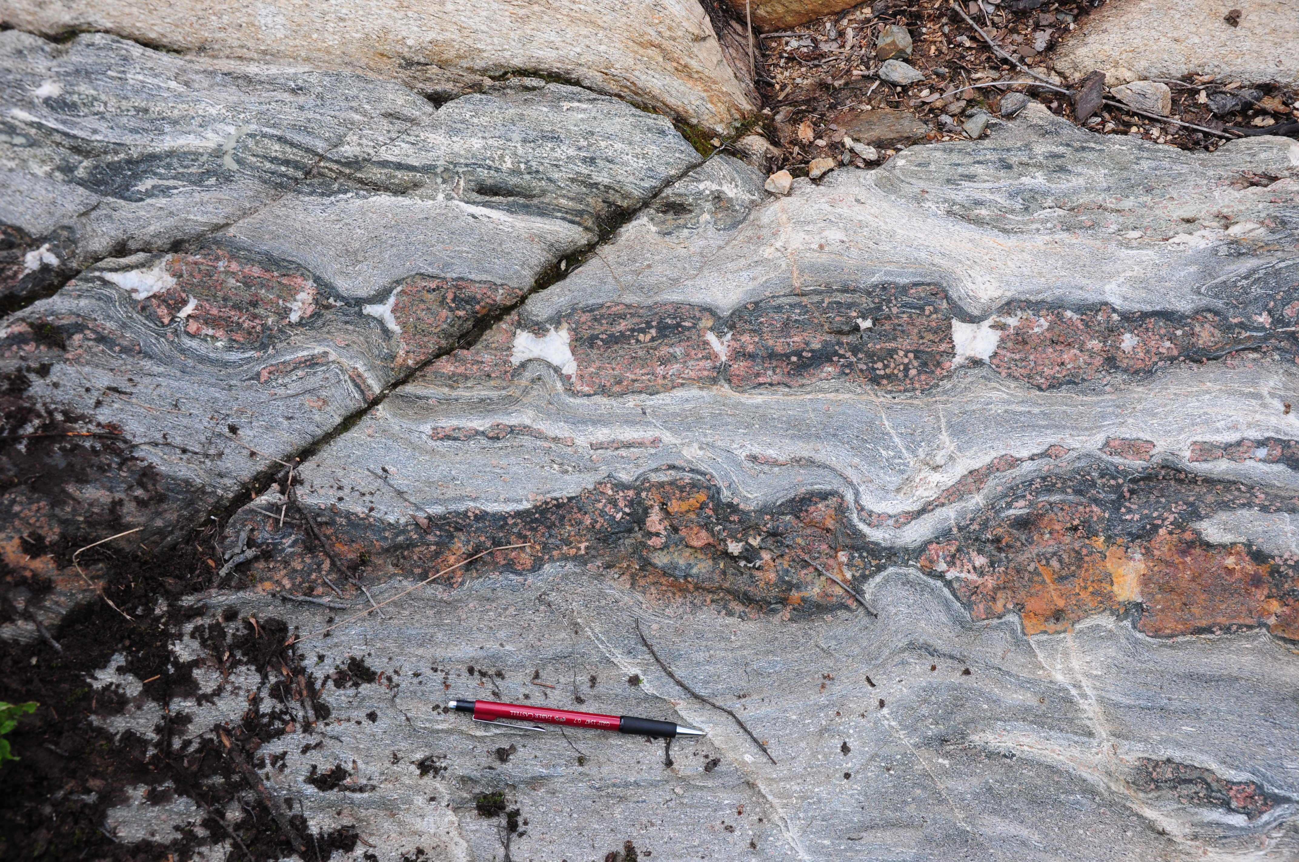 Migmatite
