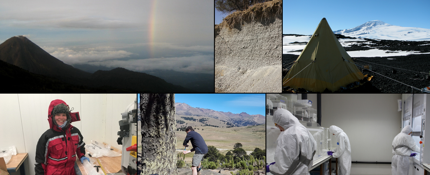 collage of images