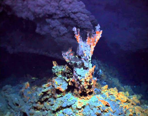 Two NERC Funded postdoc positions working on exciting origin/evolution of life