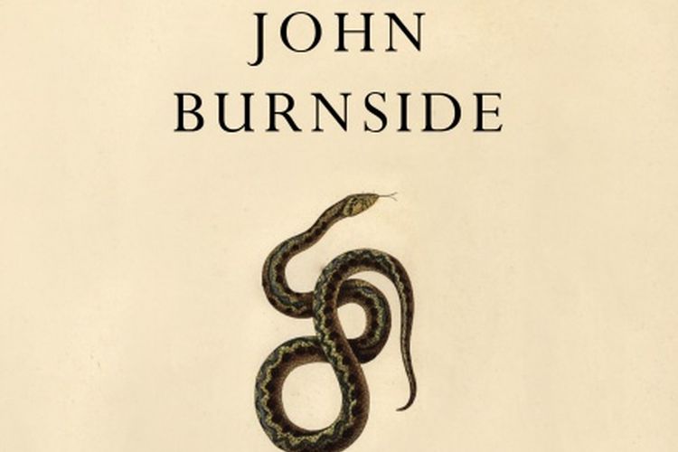 Still life with feeding snake