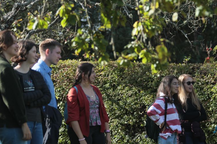 Students watching on