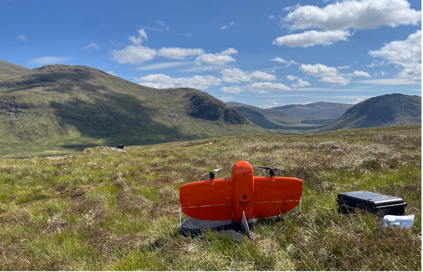 Drone within a montane habitat