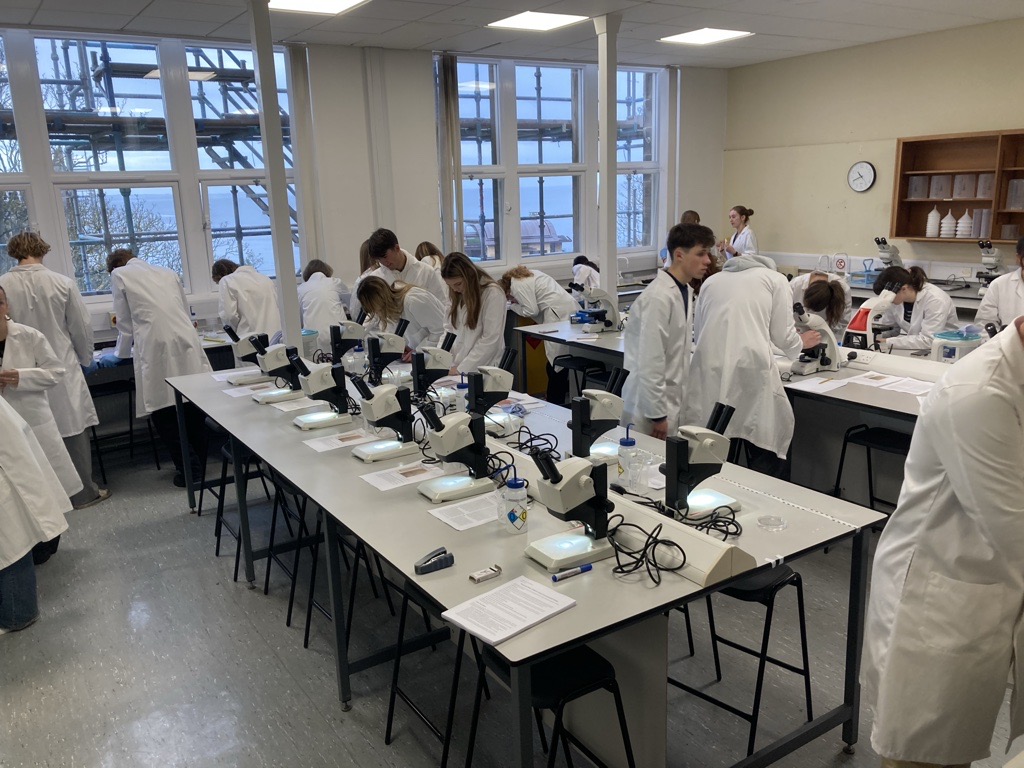 Students working within a microscope laboratory