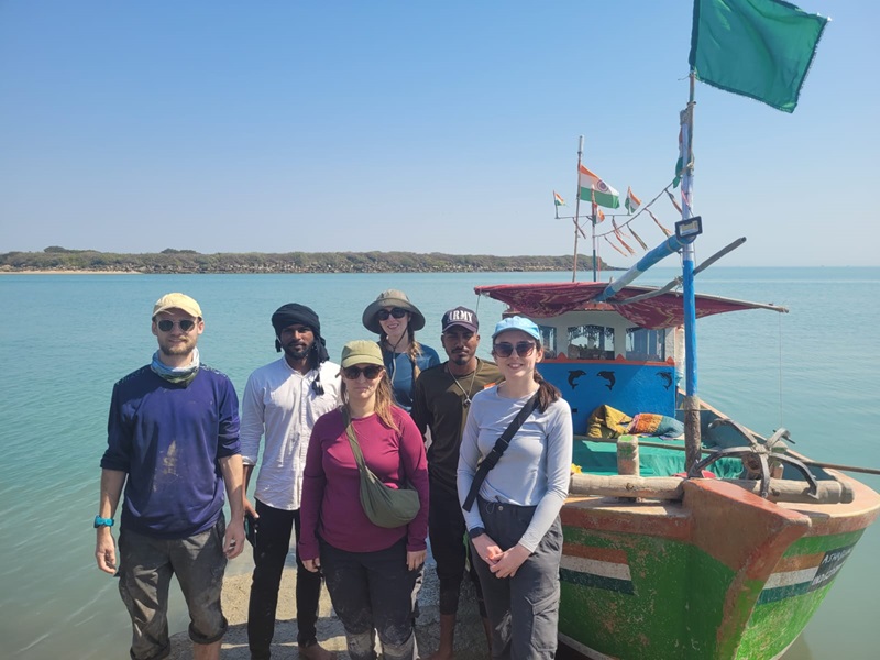 Mangrove soil carbon storage in the Gujarat region, India