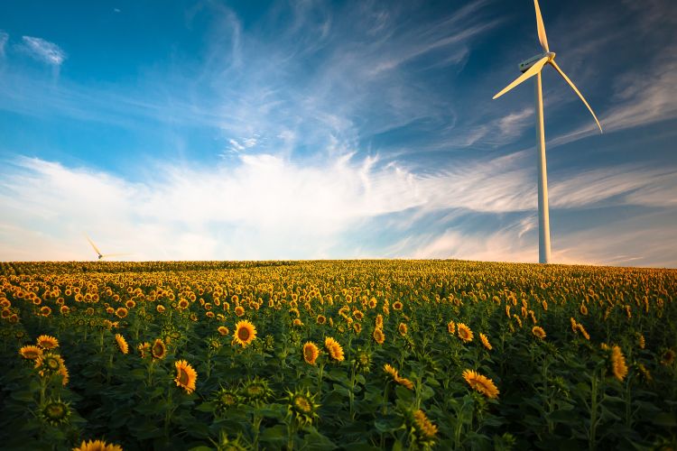 Scotland's response to the global climate emergency