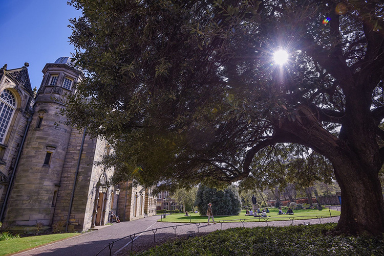 Higher Education Scholarships for Palestinians - Apply Now