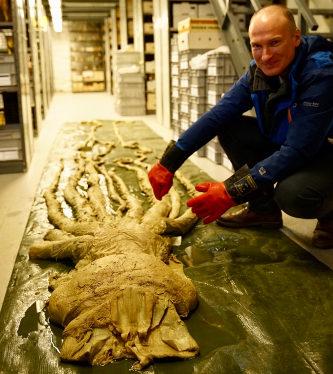 Dr Charles Paxton with a dead giant squid