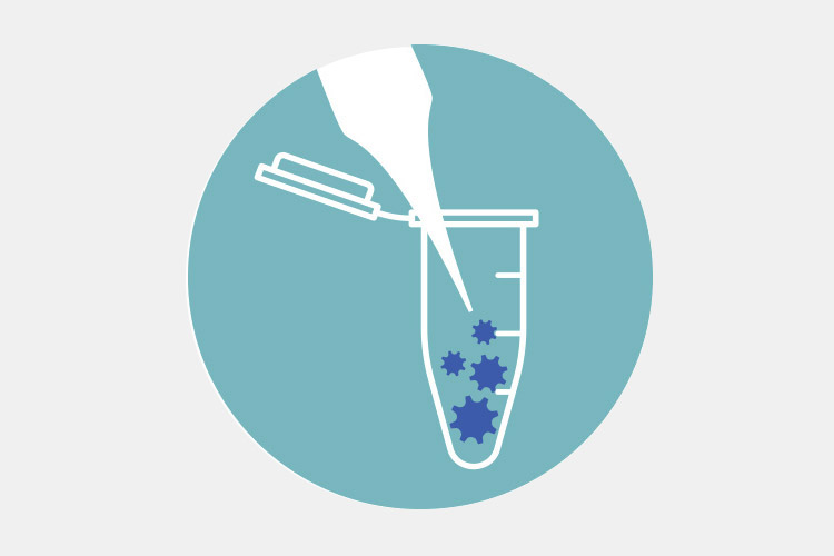 Cellular Medicine research division logo