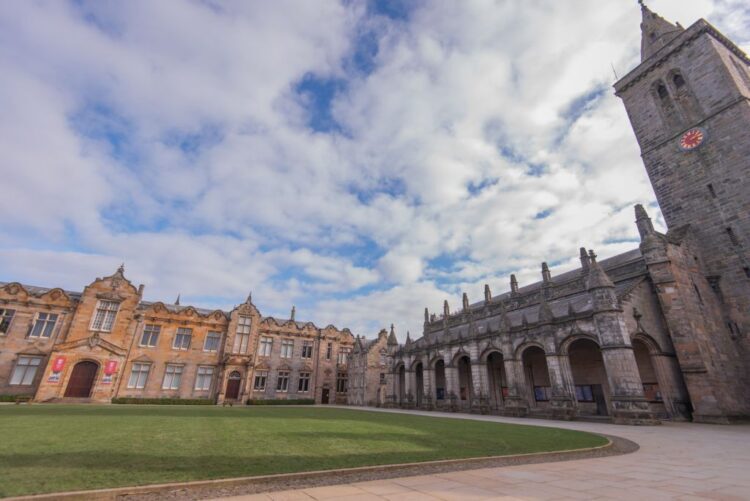 School of Modern Languages top in new university rankings