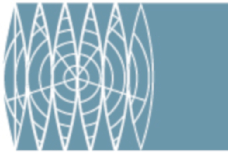 Transnationalizing modern languages logo