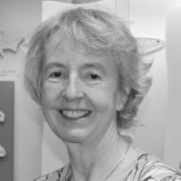 Professor Mary Orr