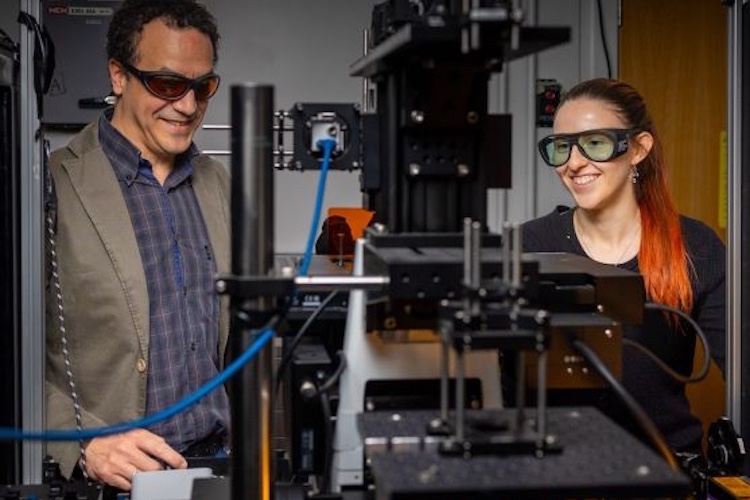 Pioneering research key to the new UK Industrial Strategy
