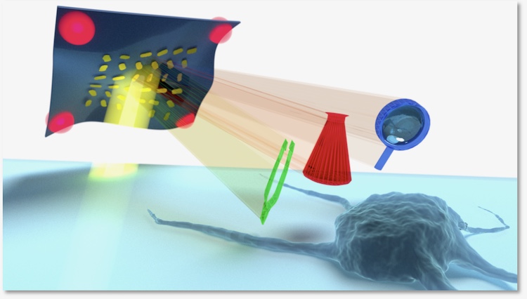 HIPPO &ndash; ERC Proof of Concept awarded