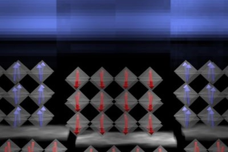 Giant stretch in quantum materials confirms 100-year-old prediction