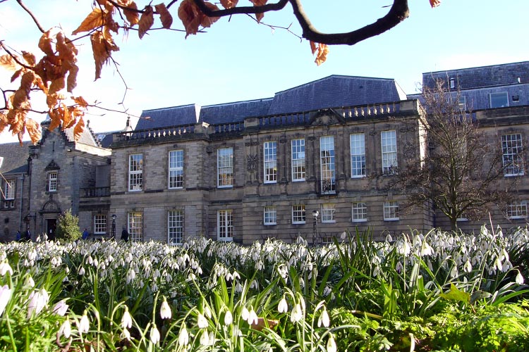 Snow drops in front of the psychology building