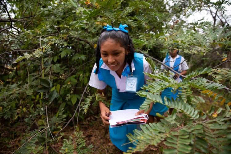 Photograph of young students walking through a forested area