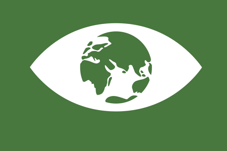 Graphic of an eye where the iris is the planet earth