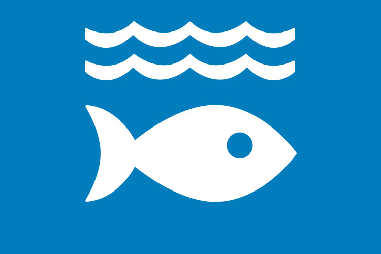 Graphic of a fish under the water