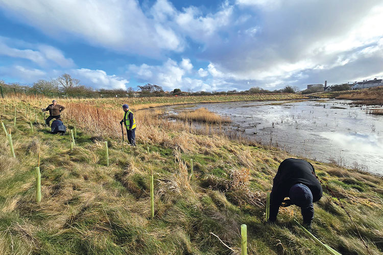 Planting eden estuary [750 x 500px]